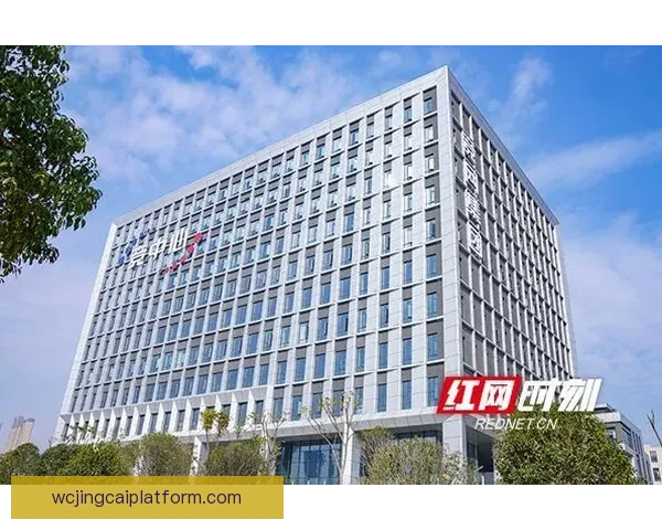 世界杯竞猜APP平台打造沉浸式赛事互动体验与精准预测服务新生态
